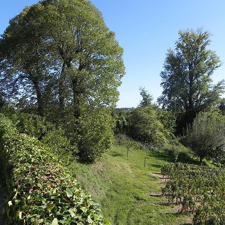 Chateau Belles Graves Panzió Pomérols Kültér fotó
