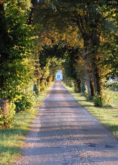 Chateau Belles Graves Panzió Pomérols Kültér fotó
