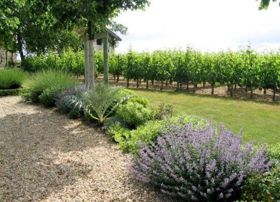 Chateau Belles Graves Panzió Pomérols Kültér fotó