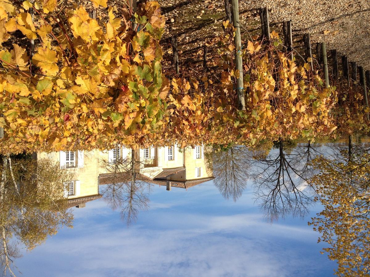 Chateau Belles Graves Panzió Pomérols Kültér fotó